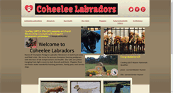 Desktop Screenshot of coheeleelabs.com