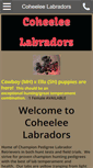 Mobile Screenshot of coheeleelabs.com