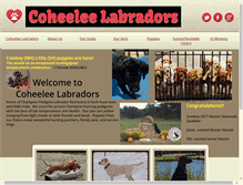 Tablet Screenshot of coheeleelabs.com